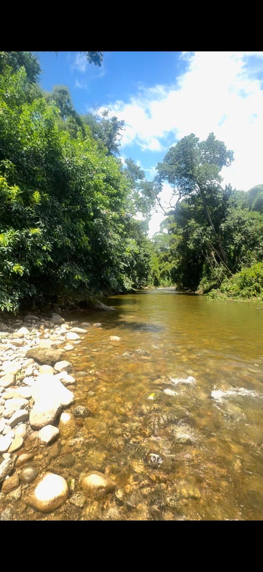 Otima Nota - Rancho Caminho Do Ouro ,Proximo Praias , Ilhas ,Cachoeiras E Centro Historico Paraty Exterior photo